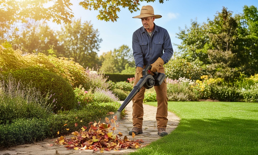 Image 1: Akku-Laubbläser GFJ-21A 42 V mit 2 Akkus