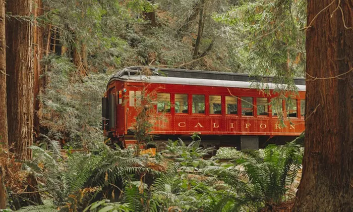 Glen Blair Bar Experience - Train to a Hidden World-Class Bar! 