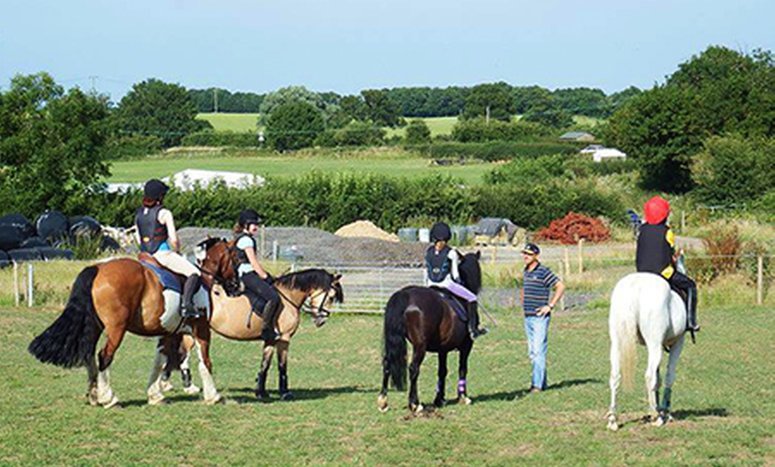 Image 2: Horse Riding Lesson