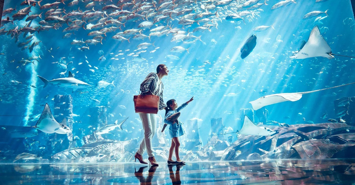 Dubai Aquarium And Dubai Frame Entry Tickets For 1, 2 Or 4 Adults Dubai Aquarium And Dubai Frame Entry Tickets For 1, 2 Or 4 Adults