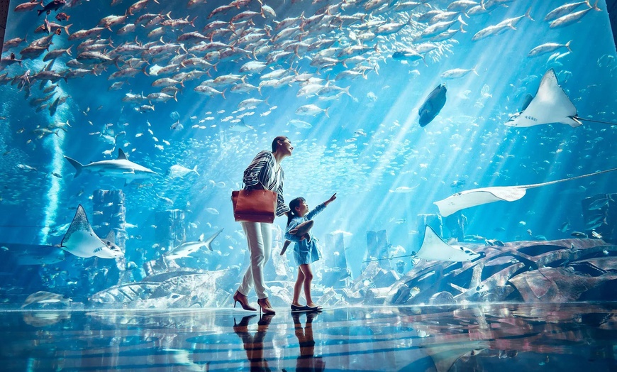Image 17: Dubai Aquarium and Dubai Frame Entry Tickets for 1, 2 or 4 Adults