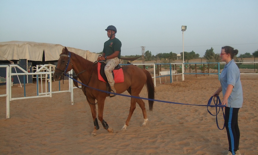 Image 1: Private Horse Riding Lesson