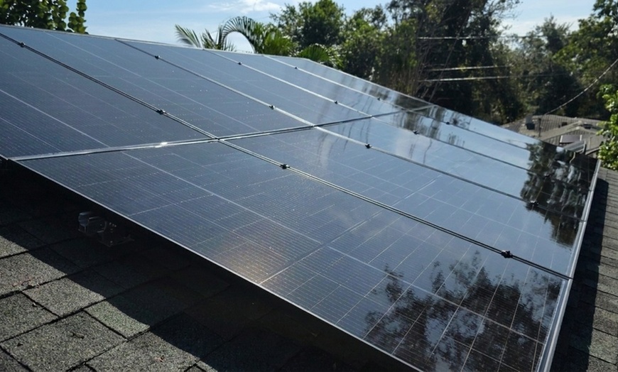 Image 4: Professional Solar Panel Cleaning for 1-Story Homes