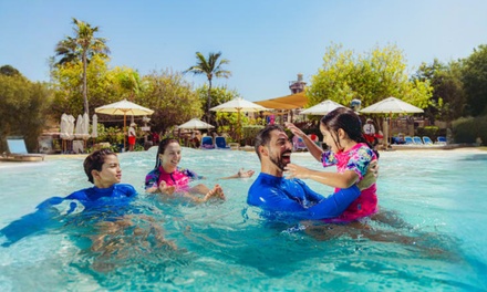 Wild wadi Water Park For One - Hormuz 1 Tourism