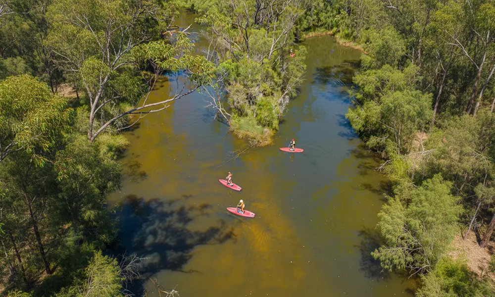 Ticket to Narrabeen Sup Creek Tour for Up to 11 People