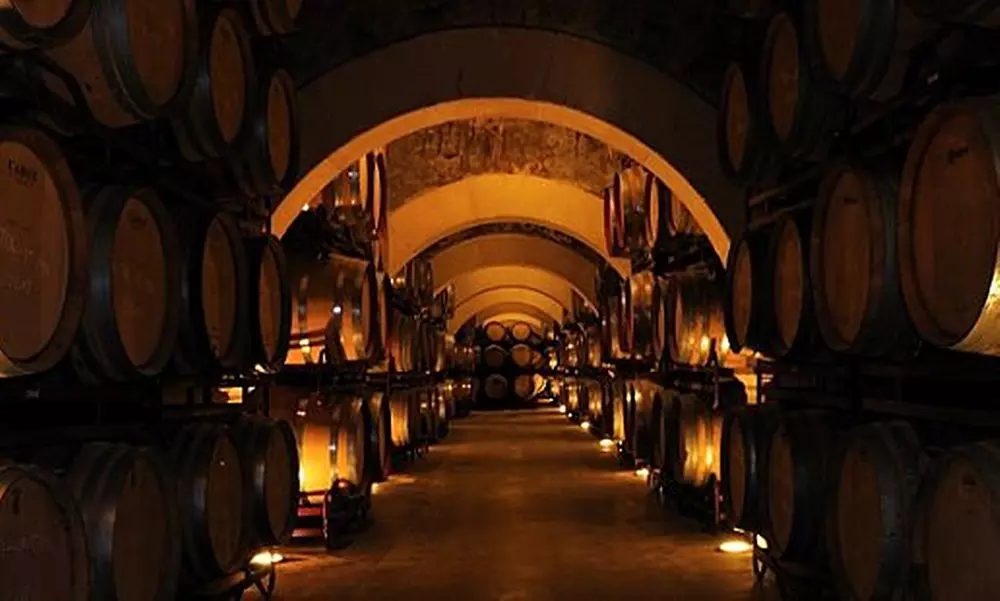 Visita a bodega y cata de vinos