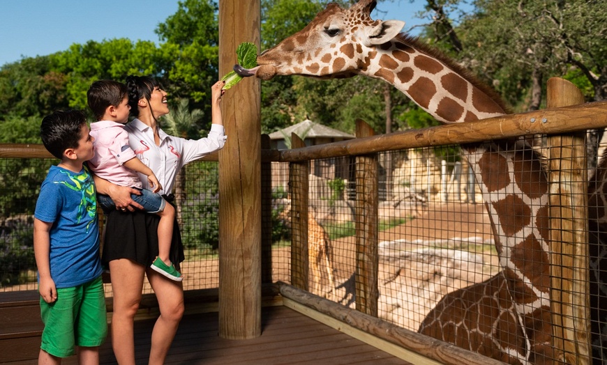 Image 16: FLASH SALE! Exhilarating Wildlife Adventure at San Antonio Zoo!