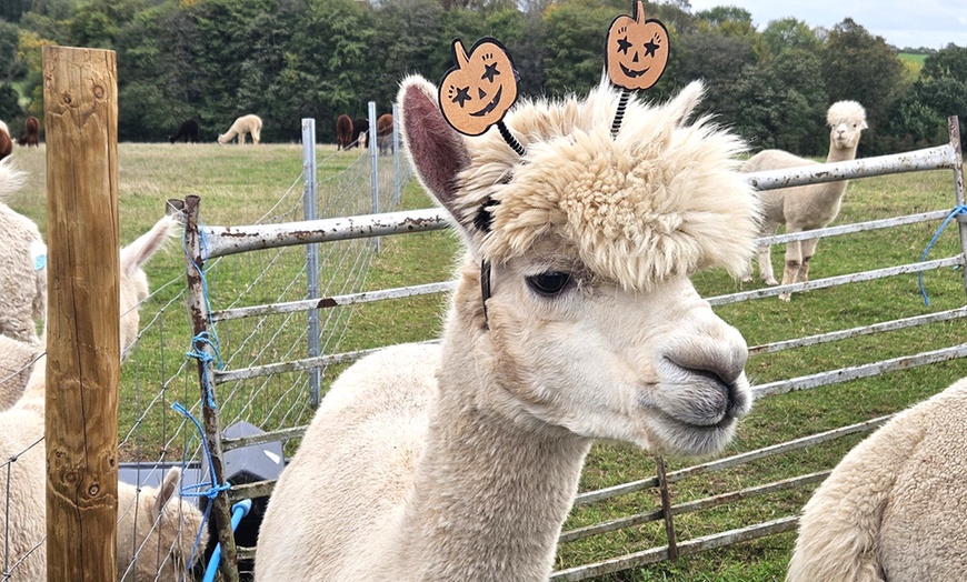 Image 3: Celebrate Halloween: Tickets for 1, 2, or Family of 4