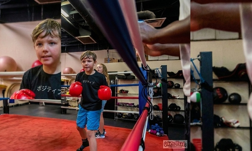 Image 6: Boxing Classes & Private Lessons in Mesa