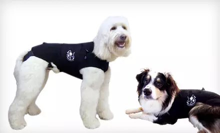 $25 for the Original Anxiety Wrap for Dogs ($39.95 List Price). Multiple Sizes Available. - Primary Image