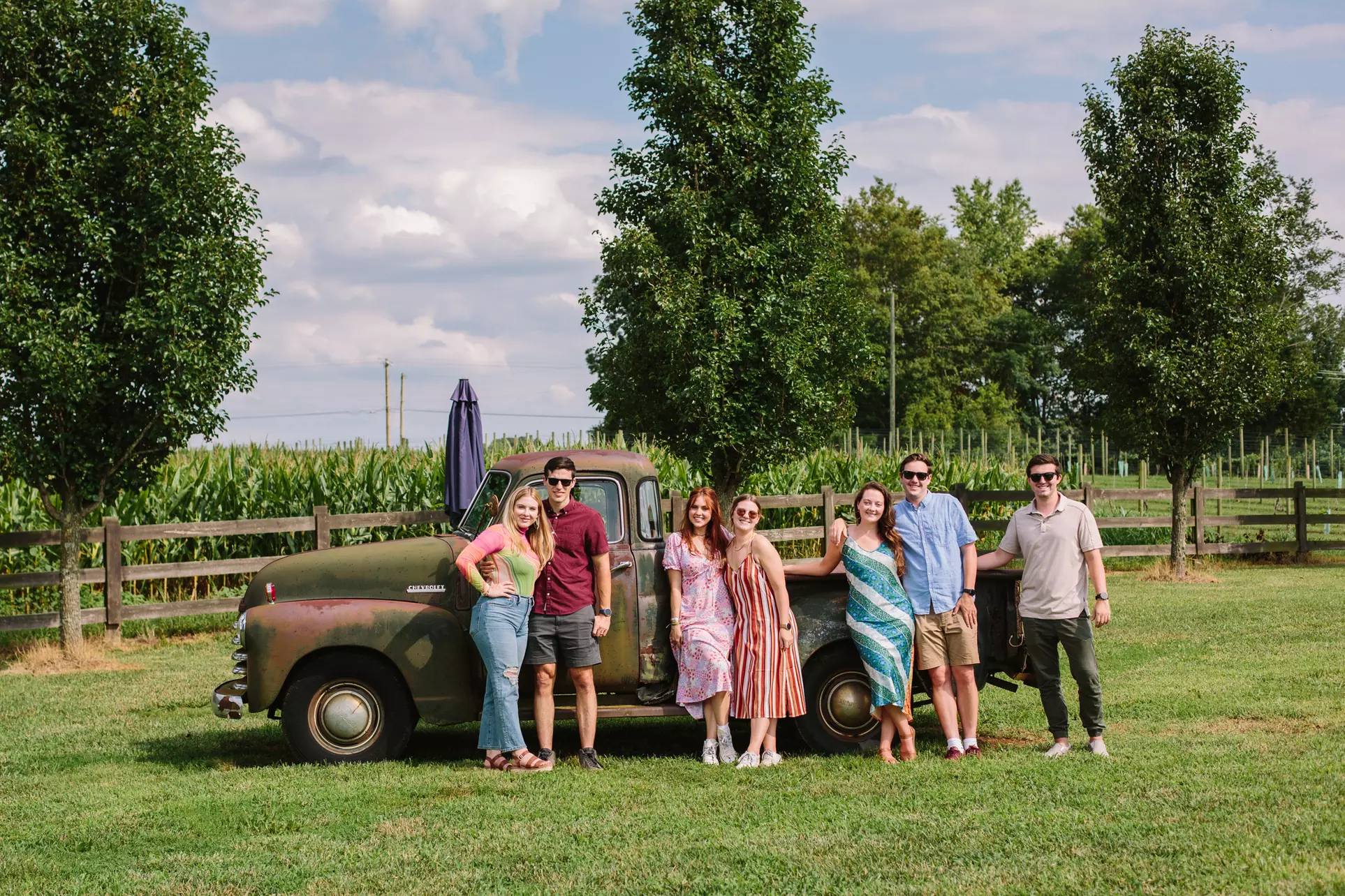 Sip and Savour: Vineyard Wine Tour