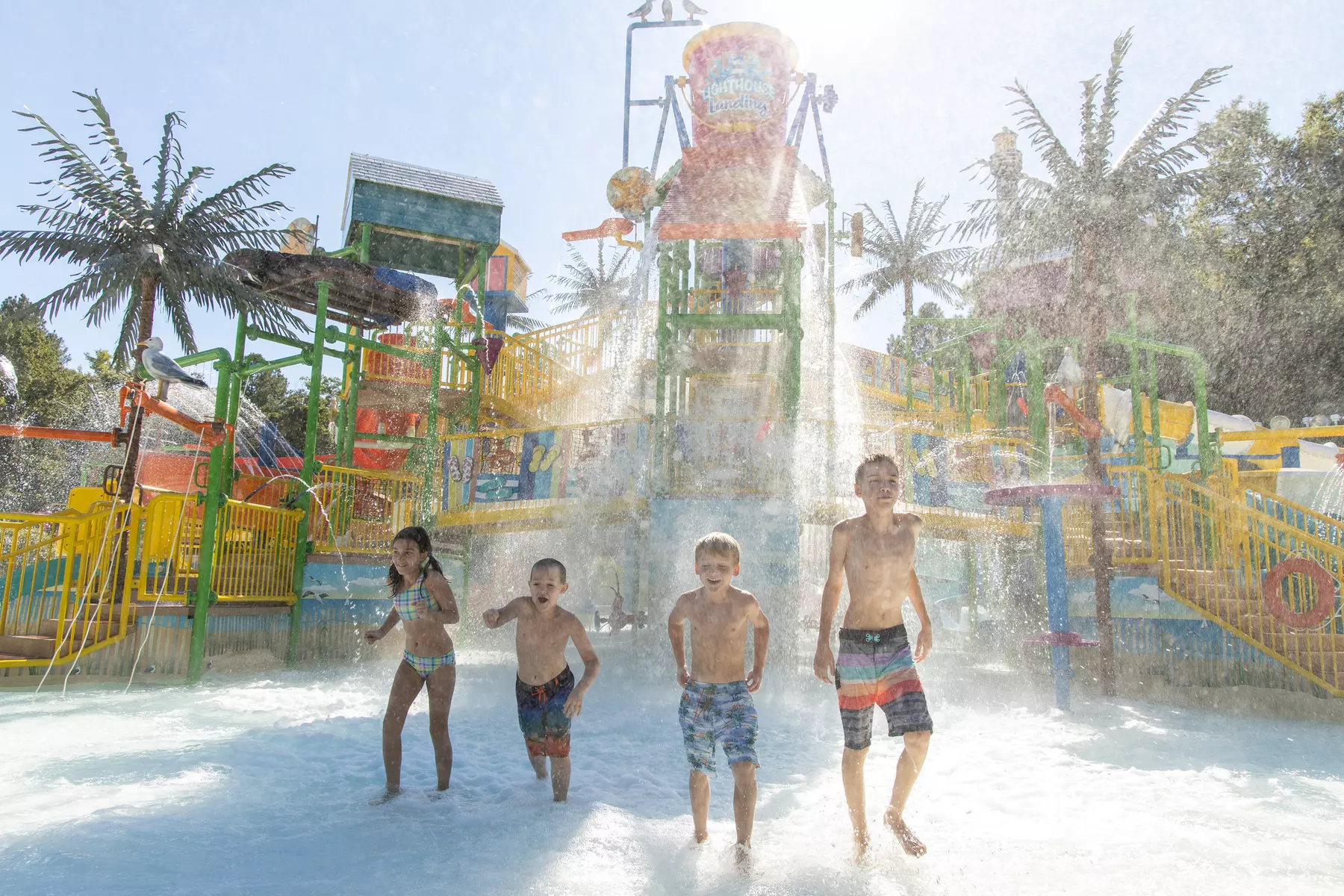 Top Things To Do In Ashburn, VA - Groupon