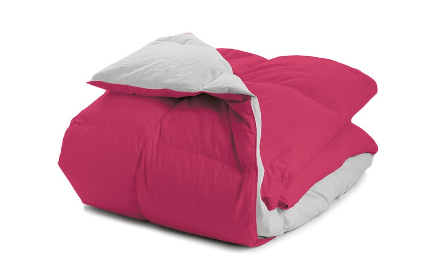 Image 17: Couette d’hiver réversible avec 90% plumes d’oie