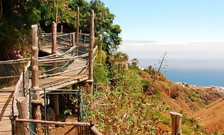 Image 10: Menú degustación de La Palma o menú de arroz para 2 con bebidas y más