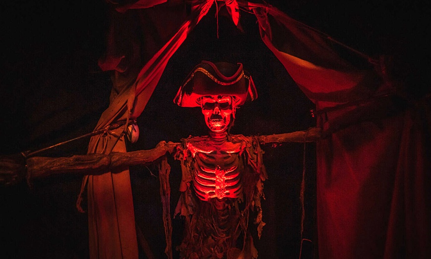 Image 13: Magia i emocje: Bilety do Muzeum Iluzji Krzywy Domek i Baszty Tajemnic