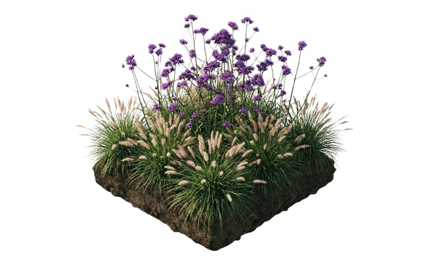 Image 4: Pack de bordure NatureNest 'Stella'