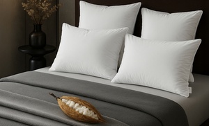 Almohada 100 % kapok natural, orgánica. Sampur Almohada 100 % kapok natural, orgánica. Sampur