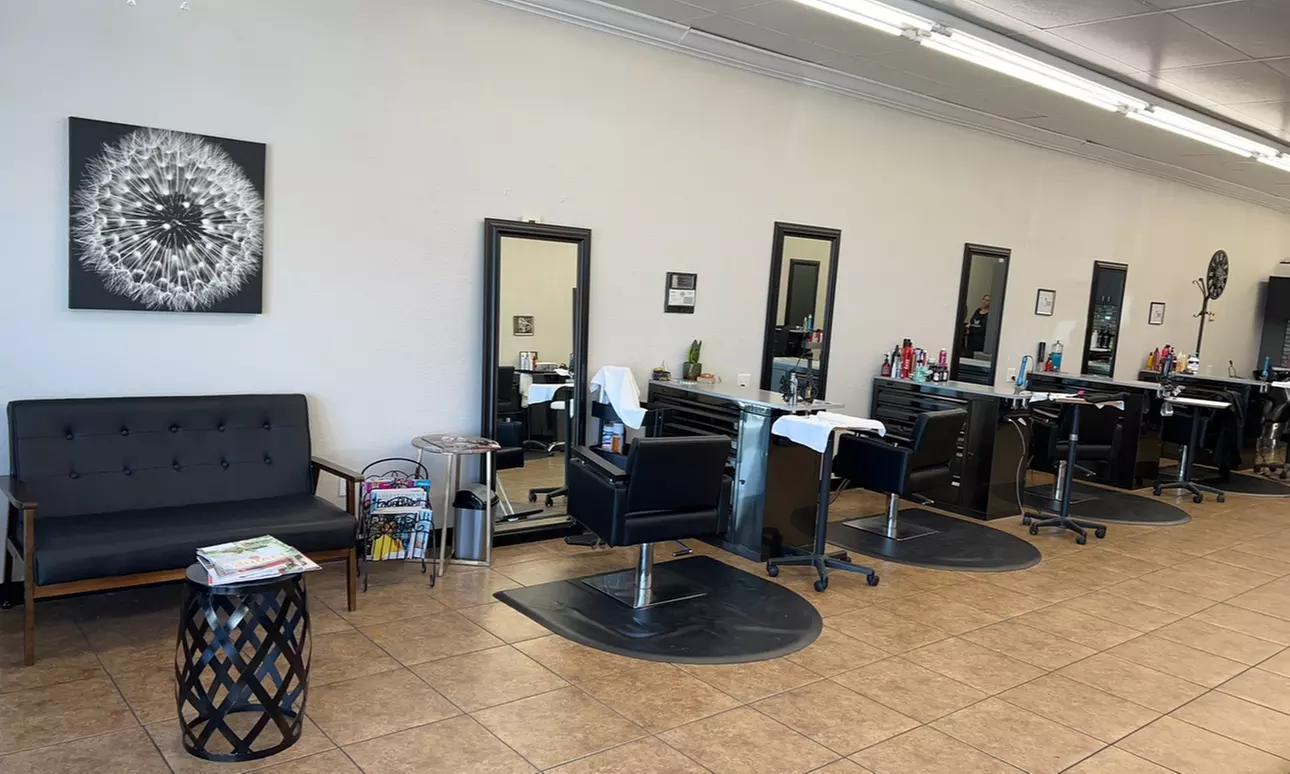 Haircut, Blow-dry, Conditioning, Partial/Full Highlights, or More