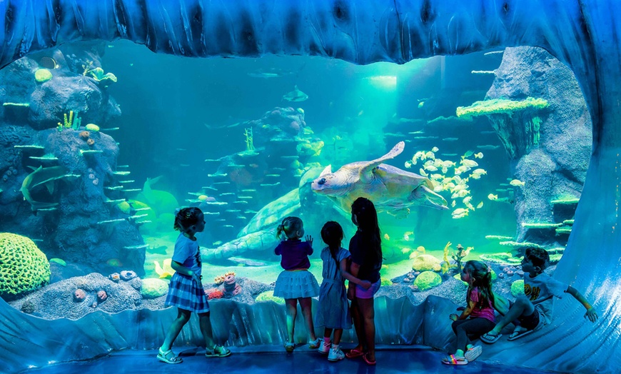 Image 6: Visit any 4 Top Attractions: Sea Life Sydney, Madame Tussauds & More