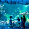 Image 6: Visit any 4 Top Attractions: Sea Life Sydney, Madame Tussauds & More