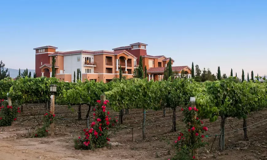 Scenic vineyard views and walking paths