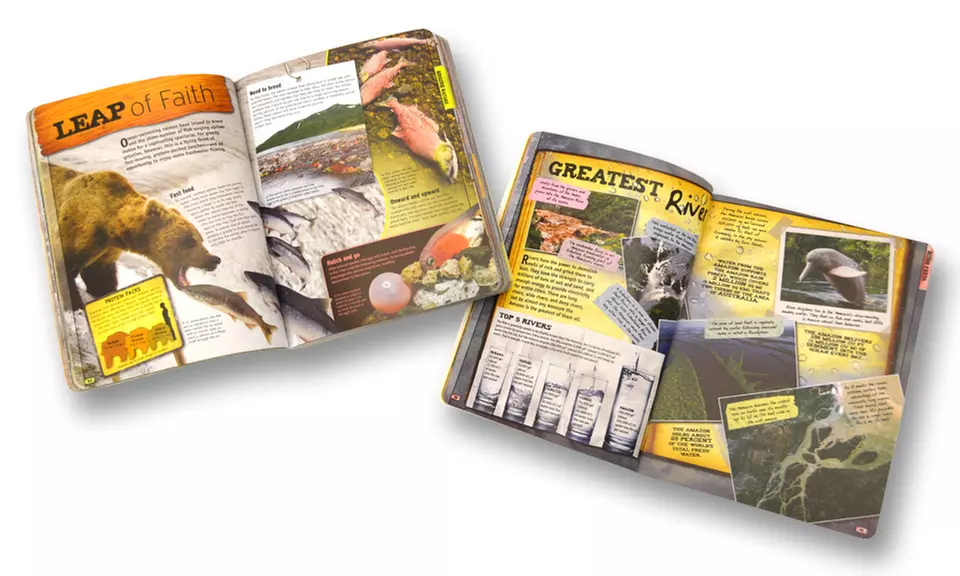 Discovery Channel Mini Encyclopedia Box Set (4 Books) - Second Medium