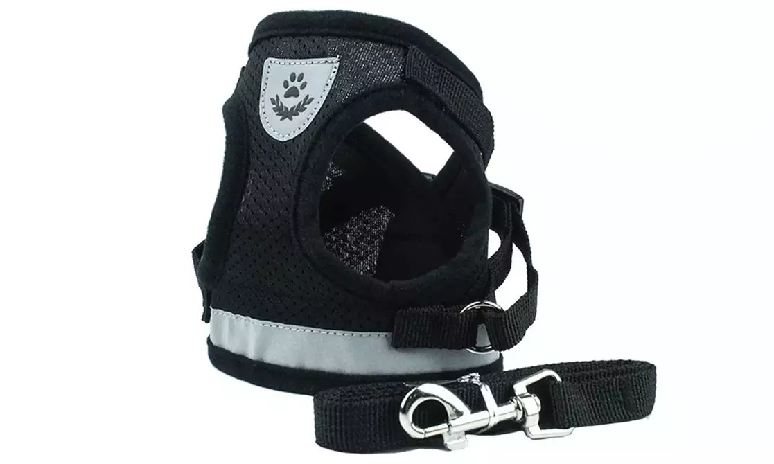 Small Dog Cat Harness Pet Adjustable Collar Reflective Vest Lead With Leash