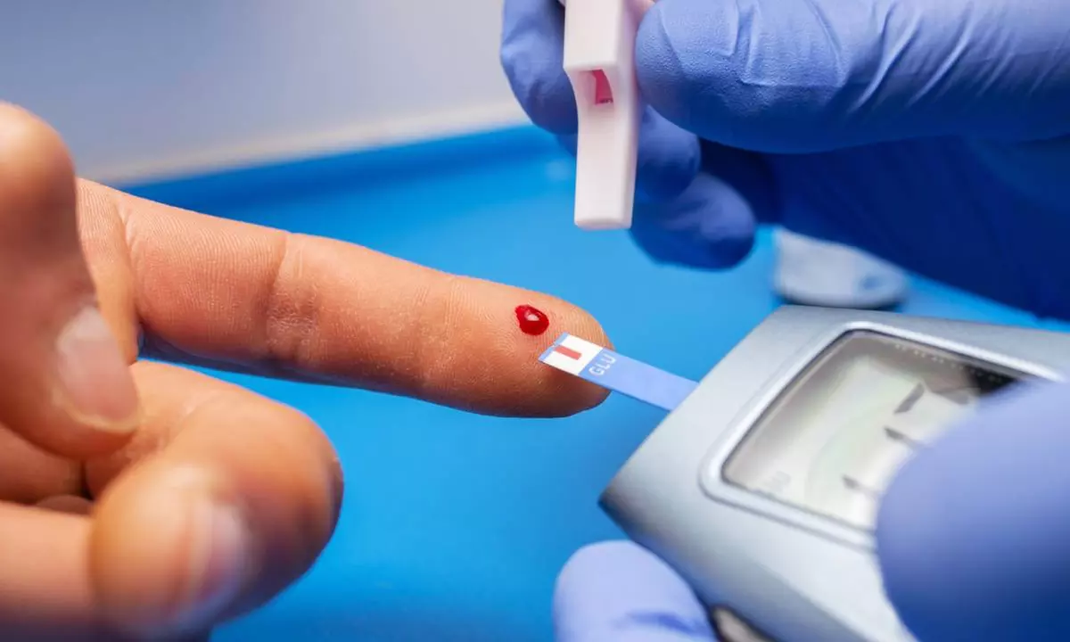 Live Blood Analysis with Diet Management for Personal Health Insights