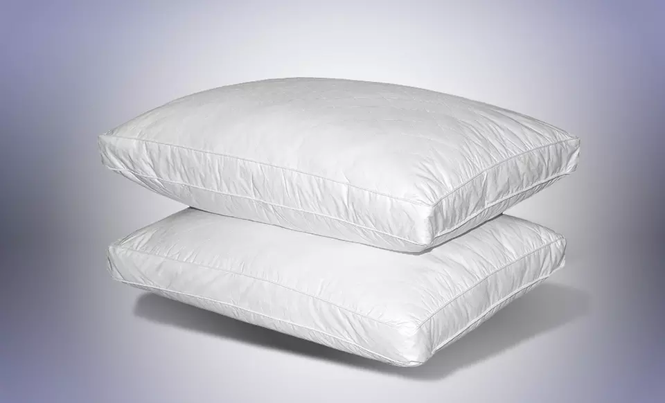 2 Standard-Sized Quilted Feather Pillows - Primary Image