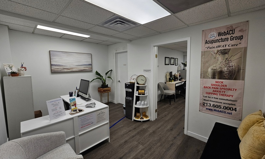 Image 3: Experience Consultation + Electro-acupuncture and Manual Therapy Combo