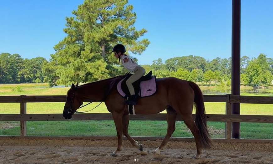 Image 2: Up to 25% Off on Horse Back Riding at Imperial Sporthorses