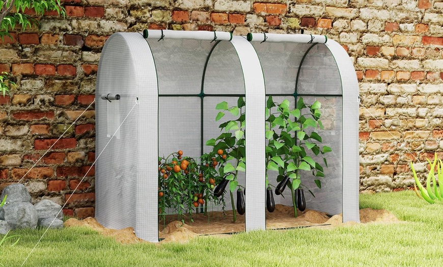 Image 22: Outsunny Mini Greenhouse
