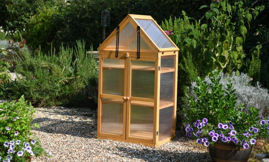 Image 27: Garden Grow Raised Wooden Cold Frame