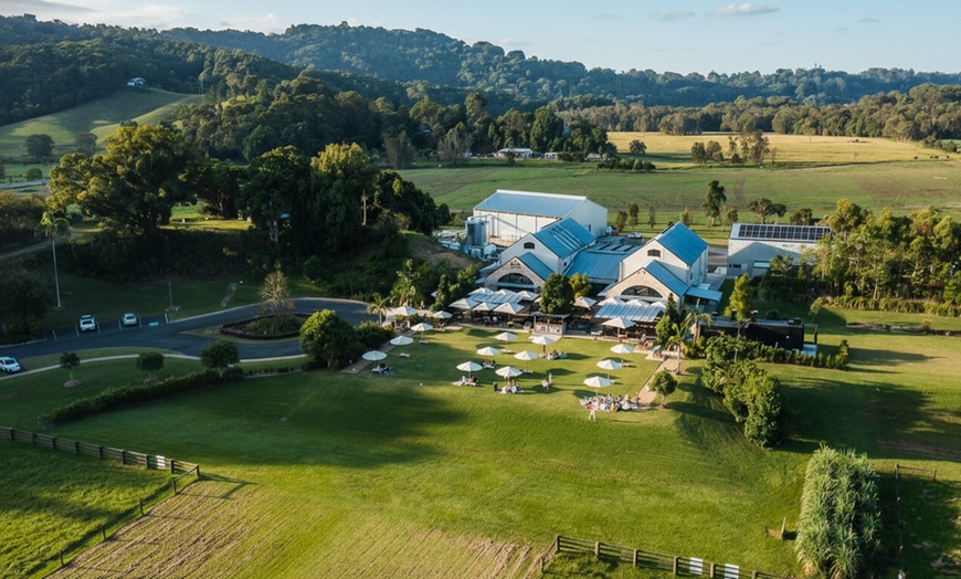 Image 4: The Ultimate Tasting Trail Experience for 1–16 People