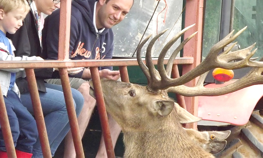 Image 4: Farm Entry and Deer Safari