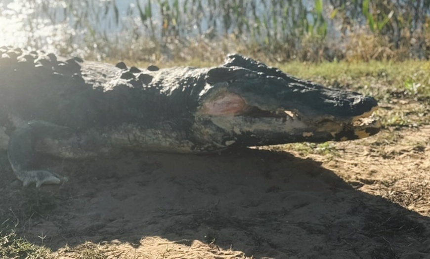 Image 4: Explore 2,500-Acre Estate with Modified Monster Trucks & Wildlife! 