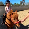Image 2: Up to 34% Off Private Horseback Riding Lessons - Cherry Stables
