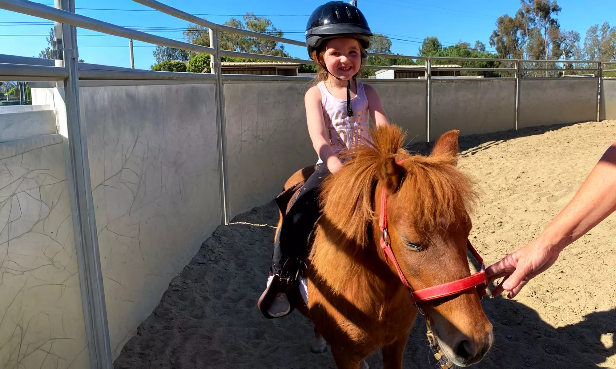 Up to 45% Off Private Horseback Riding Lessons - Cherry Stables