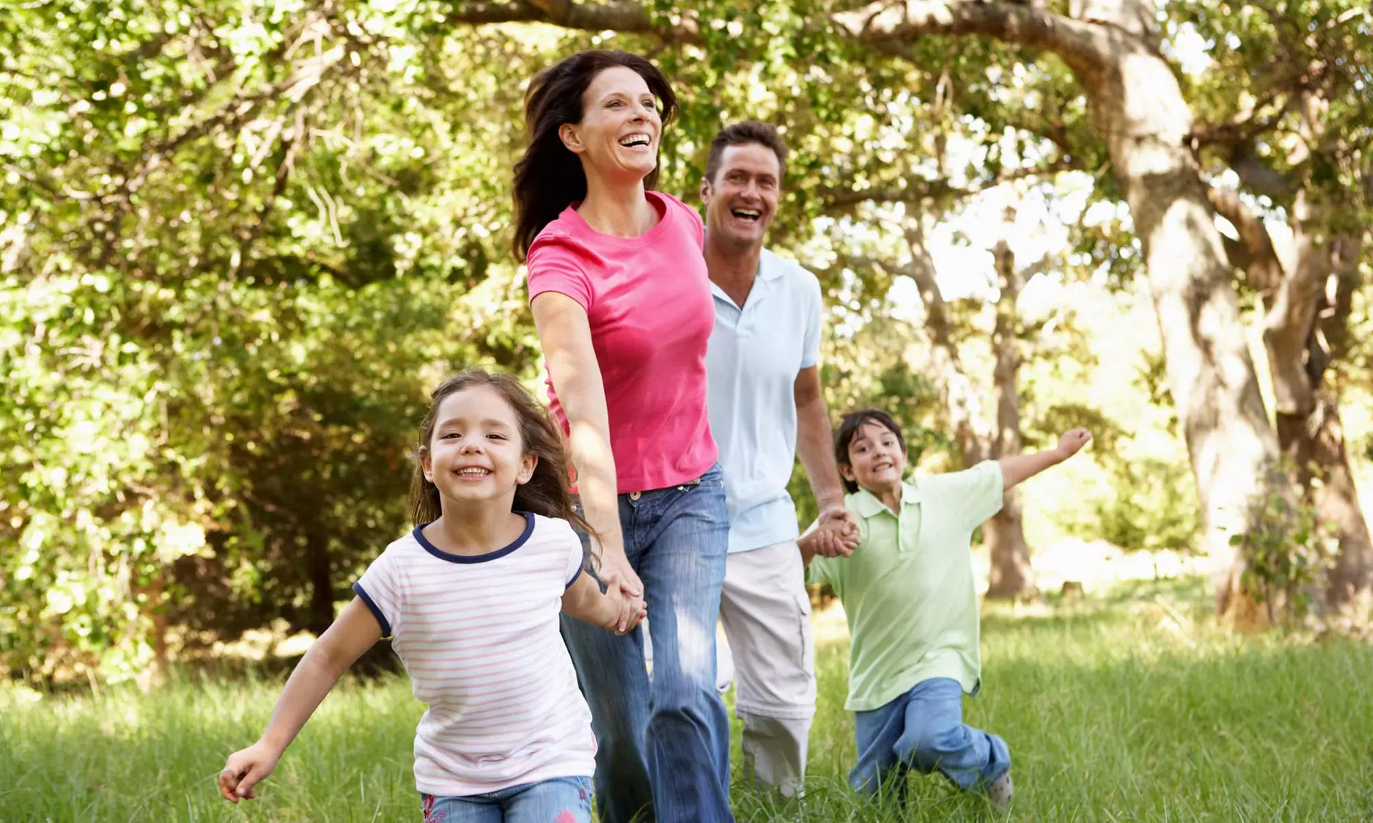 Up to 52% Off Mosquito-Control Treatment at Mosquito Joe- Johnson County Kansas - Primary Image