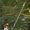 Image 5: Garden Gear Telescopic Chainsaw + Optional Spare Battery - 3 Models