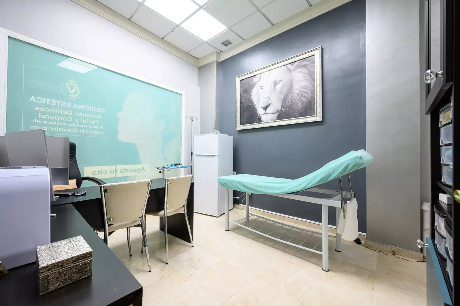 Transforma tu piel con mesoterapia avanzada y tratamientos a medida