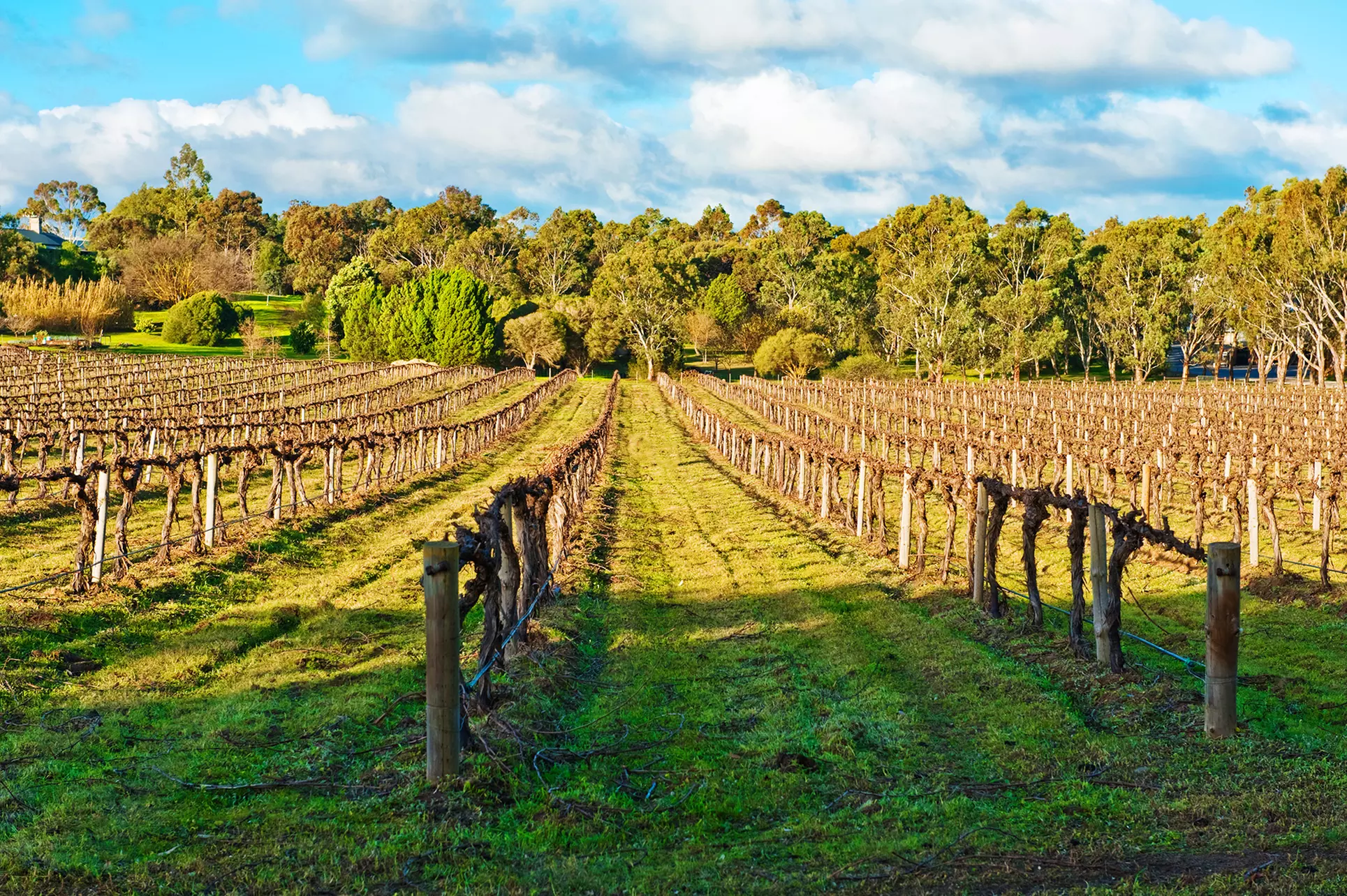 Stay at Sonoma Wine Country Hotel in Santa Rosa, CA; Dates into July - Primary Image