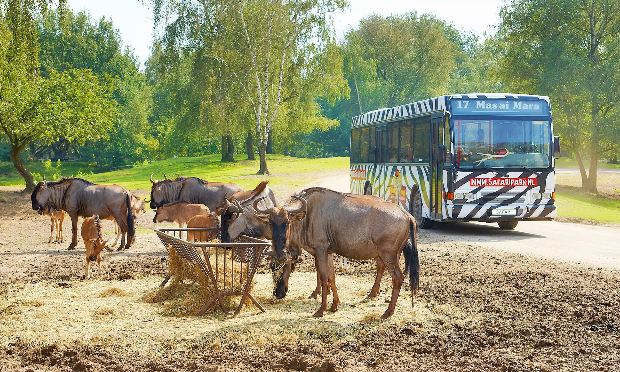Noord Brabant: 3-4 Nächte für max. 5 Personen und Zugangspass zu vers. Attraktionen im Vakantiepark Dierenbos - Primary Image