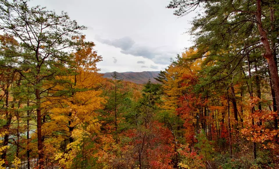 3-Night Stay at Mountain Air Cabin Rentals near Pigeon Forge, TN - Primary Image