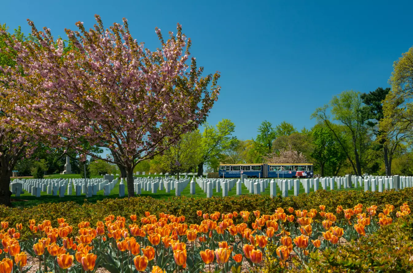 Arlington National Cemetery Tours