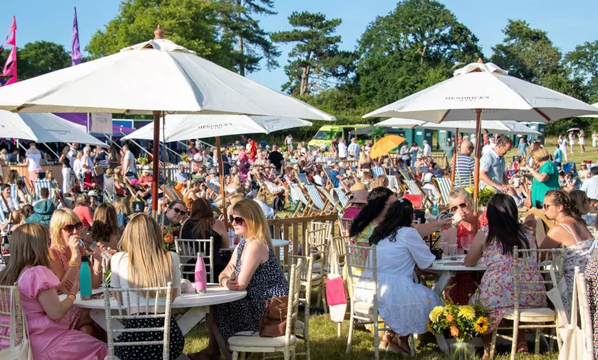 Image 1: Ticket for One or Two to Sussex Gin Festival – 5 July 2025, 12 - 9 PM