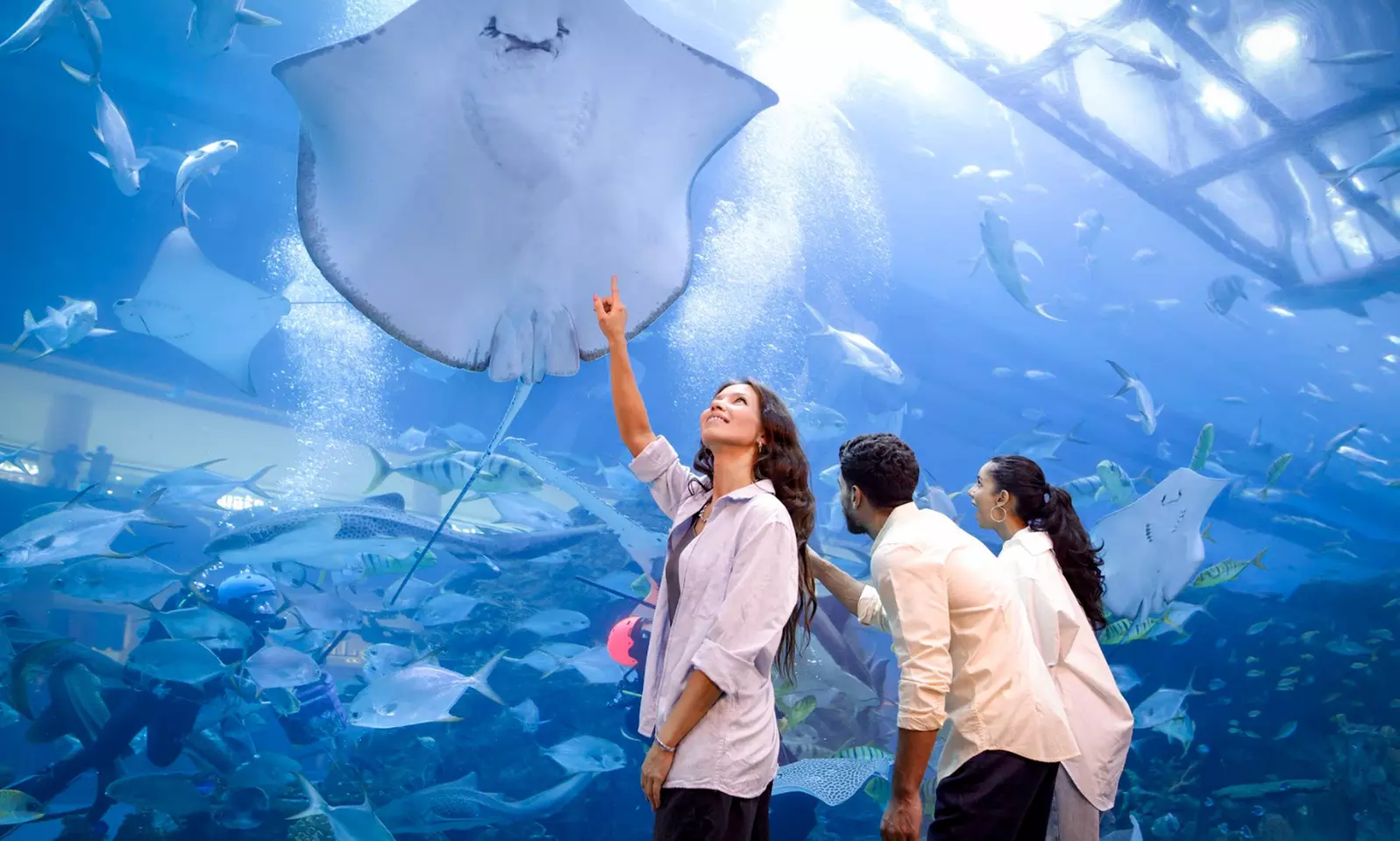 Entry for 1, 2 or 4 Adults to World’s Largest Suspended Aquarium