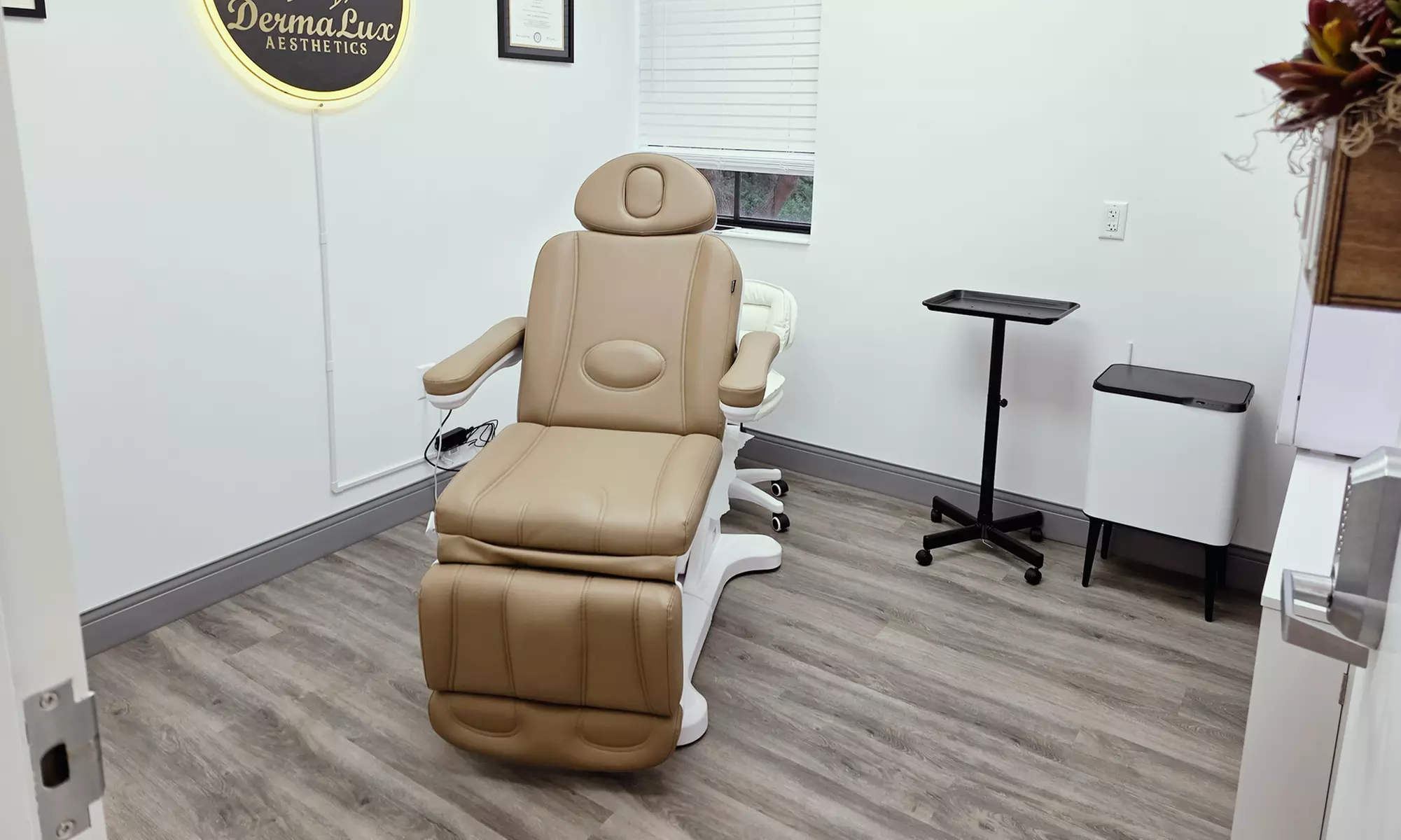 PDO Threads Mid & Lower Face, Neck or Eye Lift Options