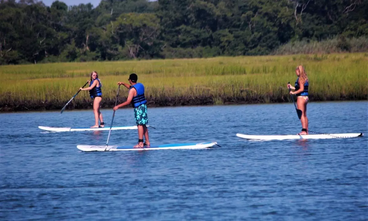 Explore Cape May with a Paddleboard Rental, Single or Double Kayak! 