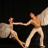 Image 3: Un gala d’exception avec les solistes du Grand Ballet de Kiev